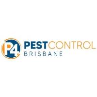 Beetle Control Brisbane image 4